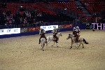 Quadrille - 00323
